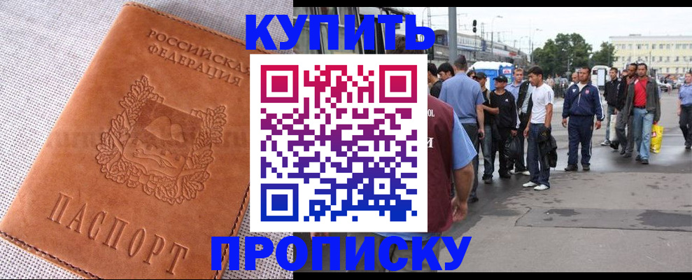 регистрация в Камчатской области